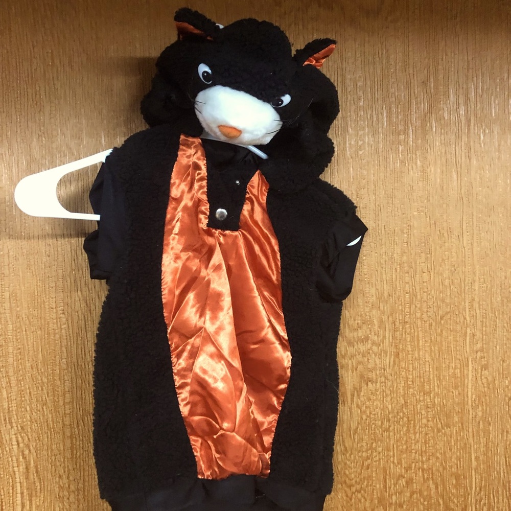 Childs halloween CAT costume. Pulls over clothes. Hood is thick with cat face